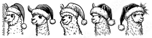 whimsical Christmas llamas wearing Santa hats, adding charm and joy to holiday projects black vector