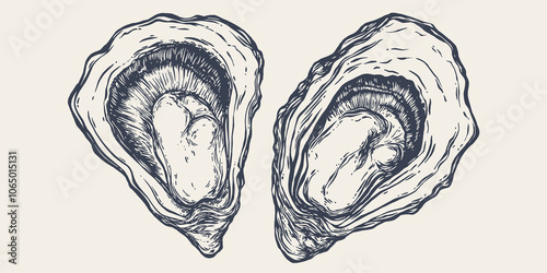 Oyster, seafood. Vintage retro print, seafood oysters sketch, logo sign template, ink pencil style drawing, engrave old school. Hand drawn sketch oysters. Vector Illustration