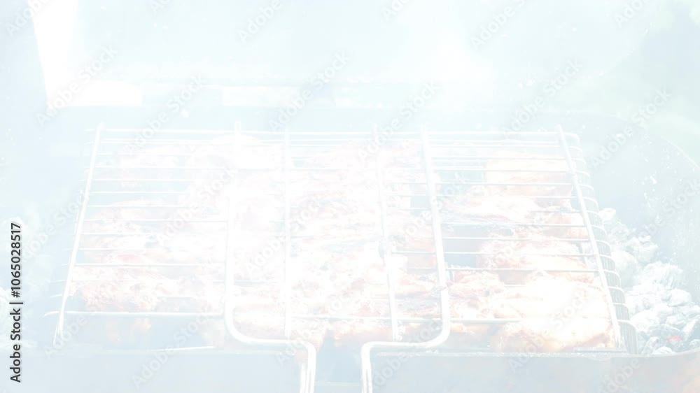 barbecue meat is fried on charcoal on the grill in smoke close-up 4k video barbecue meat is fried on charcoal on the grill in smoke close-up 4k video