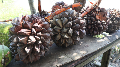 A group of Nipa palm's fruits from the mangrove forest are sold at the market. This is a fruit food rich in minerals useful for humans photo