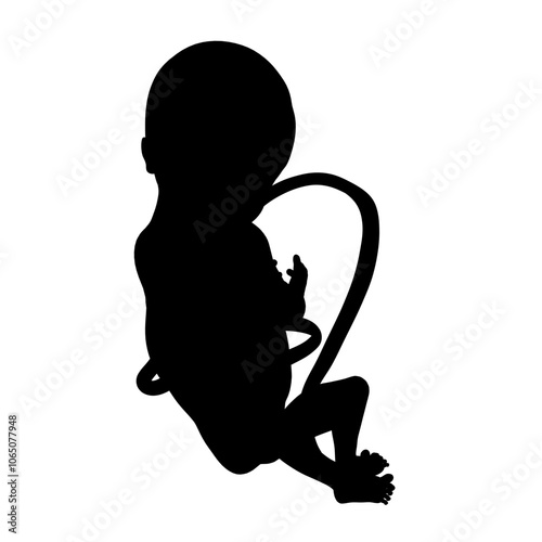 Fetus graphic icon silhouette. Embryo human silhouette sign isolated on white background. Vector illustration