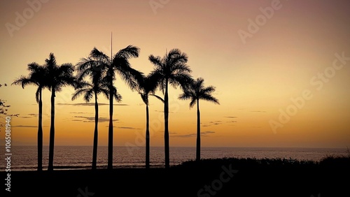 Palm trees silhouetted by a vibrant sunset over the ocean.