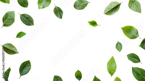 White background with green leaves scattered around it