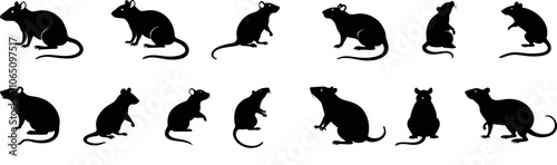 Rats Silhouette Vector Collection