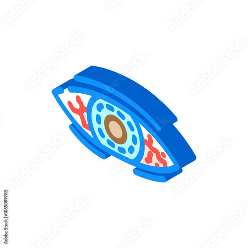 eye injuries household injury accident isometric icon vector. eye injuries household injury accident sign. isolated symbol illustration