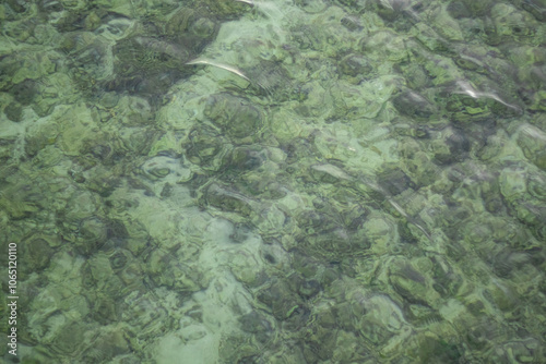 Top View of Coral Reef Above Sea Level photo