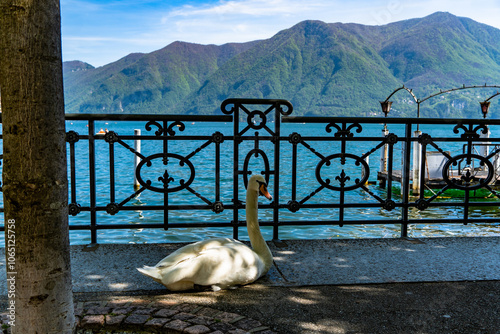 Promenade of Lugano with the beautiful scenery of lake Lugano, canton of Ticino, Switzerland