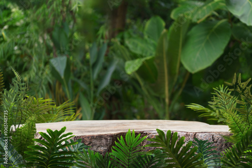 Wood table top podium floor in outdoors tropical garden forest blurred green leaf plant nature background.Natural product placement pedestal stand display,jungle paradise concept.