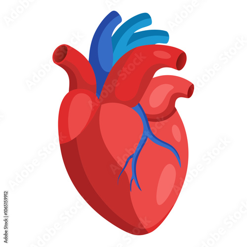 3D Human Heart Vector.