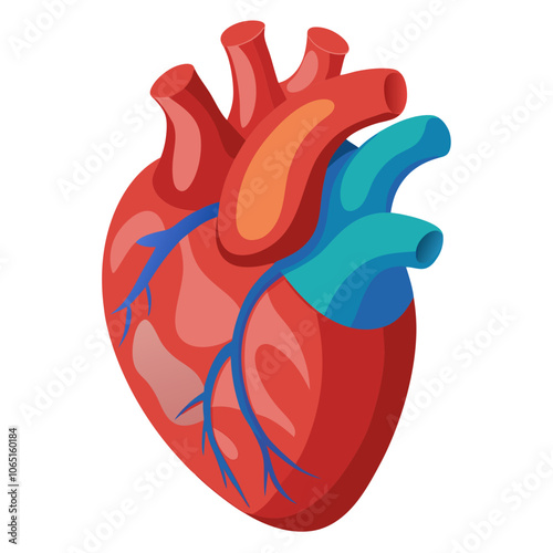 3D Human Heart Vector.