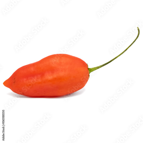 Paper Lantern Chilli Pod Fresh ripe red chilli, chili pods on a white isolated background. Hot raw chilli fruit. photo