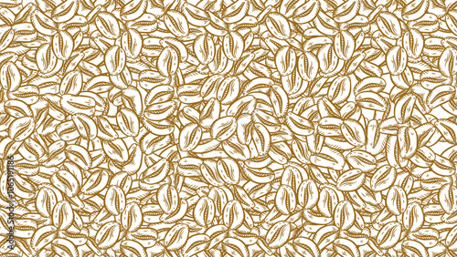 coffee background. Coffee beans in frame, border. Coffee beans isolated on a white background. Coffee beans wallpaper. Coffee Beans Illustration for packaging.