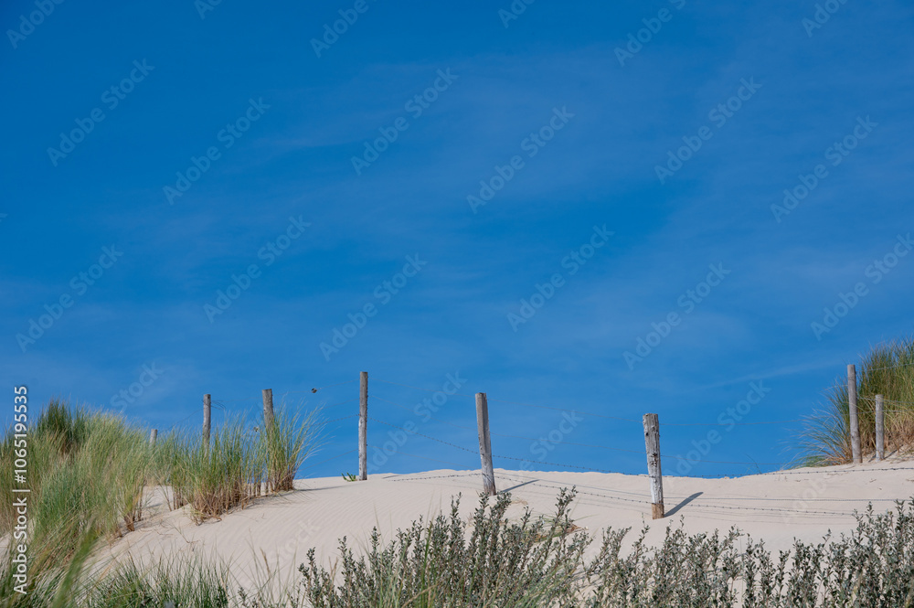 Obraz premium Barbed wire fence in the sand dunes