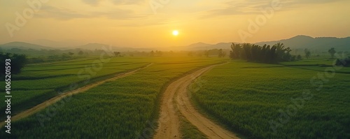 Golden hour sunlight illuminating a lush green field, vibrant nature scene capturing the warmth of sunset over farmland, springsummer backdrop, picturesque rural landscape video photo