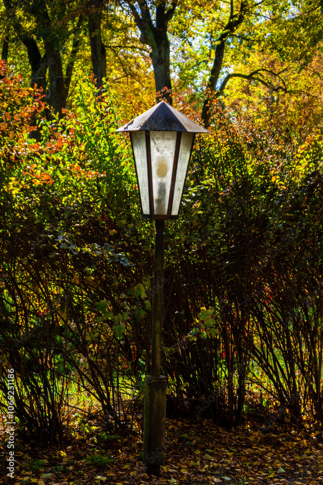 Jesień w Kurowie - Narwiański Park Narodowy - Podlasie, Polska