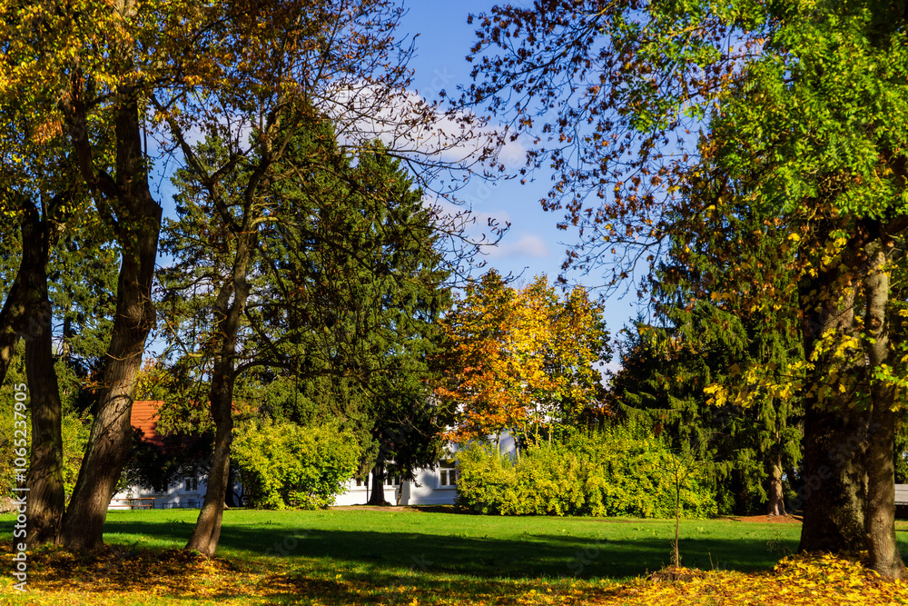 Jesień w Kurowie - Narwiański Park Narodowy - Podlasie, Polska