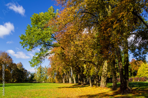 Obraz na płótnie Jesień w Kurowie - Narwiański Park Narodowy - Podlasie, Polska w salonie