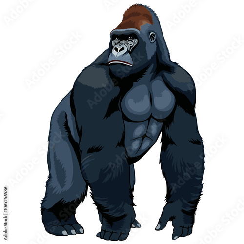 Vector, full body photograph of a gorilla