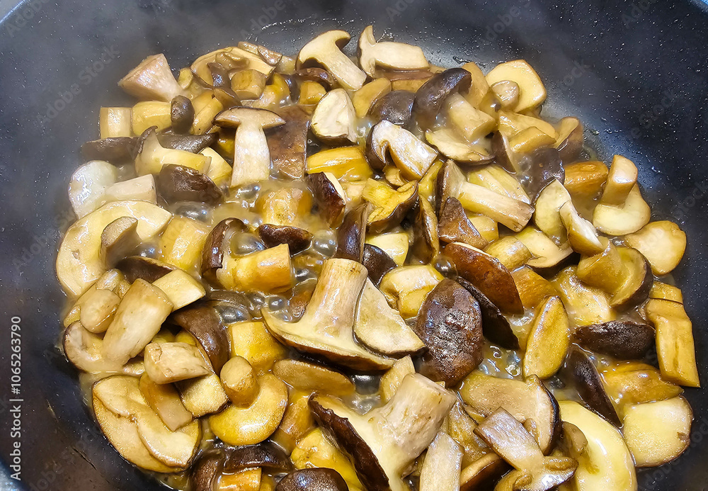 Fototapeta premium Pilzpfanne mit frischen Pilzen aus dem Wald