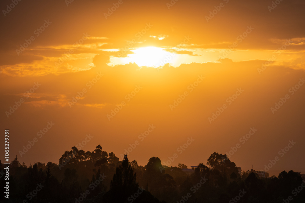 Obraz premium Sunset with trees foreground and sun shining through clouds, Mount Kenya