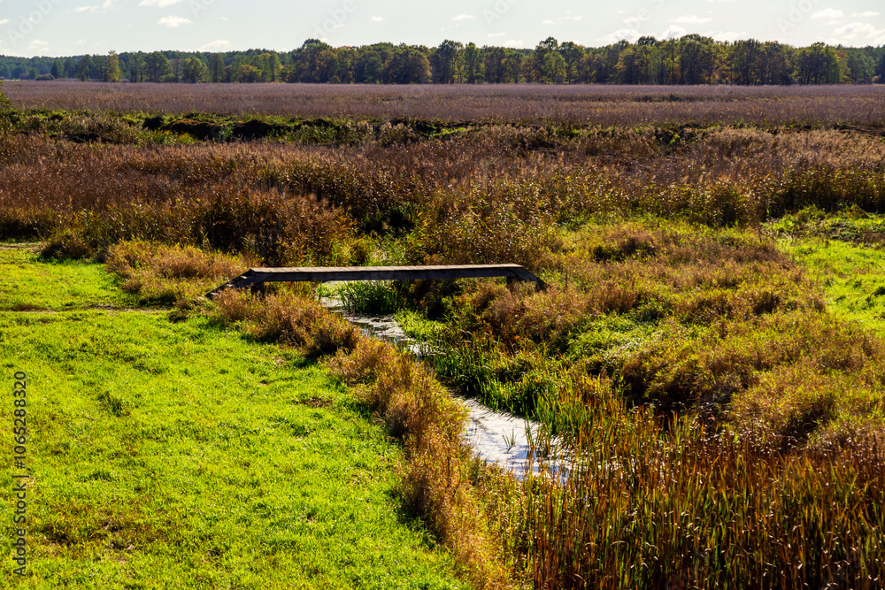 Jesień w Topilcu nad Narwią, Podlasie, Polska
