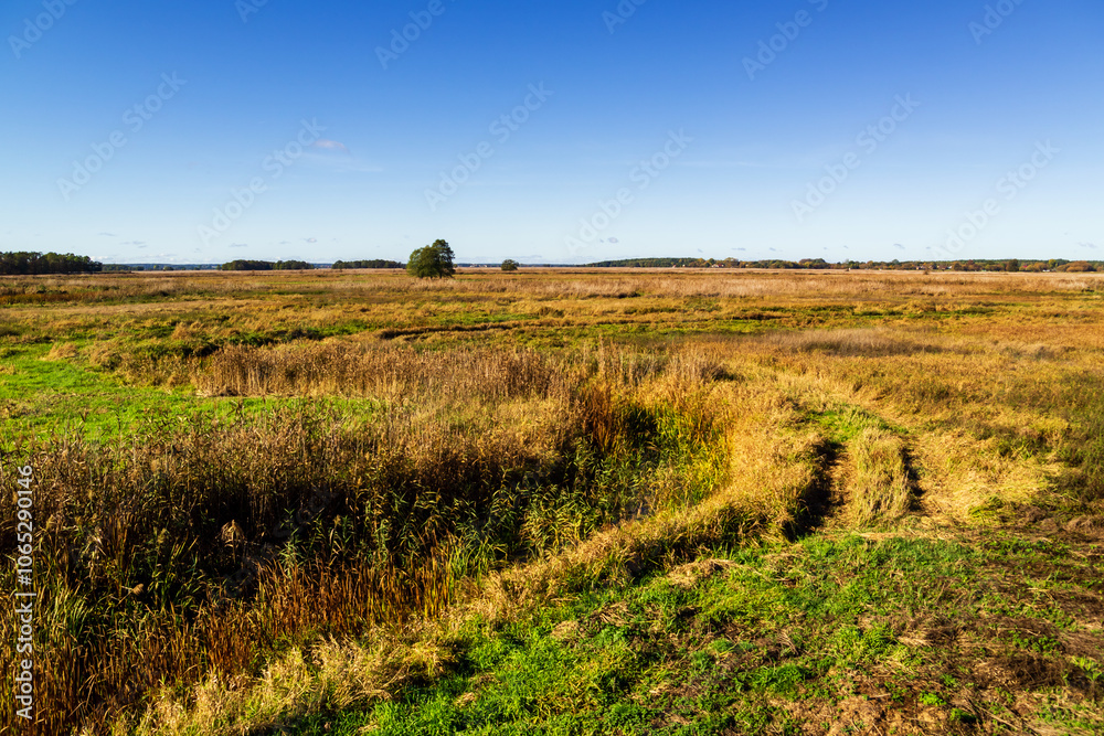 Jesień w Topilcu nad Narwią, Podlasie, Polska