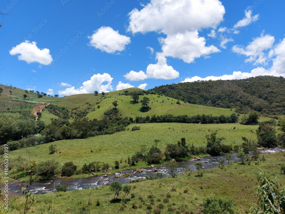 Fototapeta premium cuntryside landscape