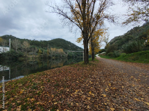 Penacova Portugal, Autumn on the banks of the Mondego River photo