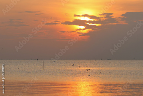 The skyline with golden color of the sea with beautiful sunset with seagulls