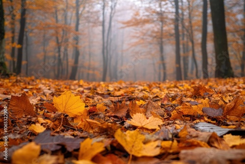 Fototapeta Naklejka Na Ścianę i Meble -  Autumn leaves in the beskidy mountains: a beautiful display of dried foliage