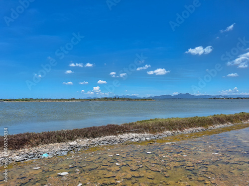 lagoon in the summer photo