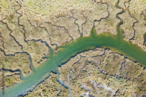 Aerial view of intricate southern swamp waterways