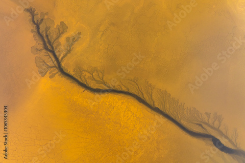 Abstract aerial view of tree-like mud crack patterns photo