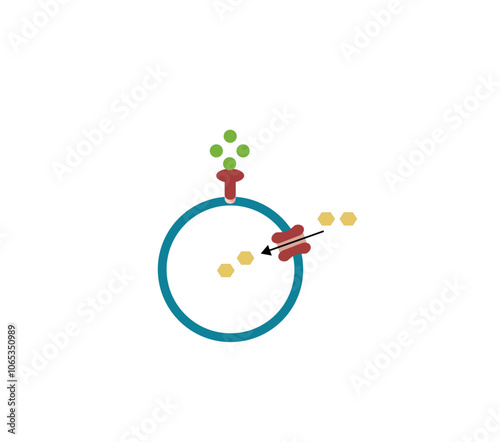 Insulin mechanism of action, regulates glucose metabolism and glucose blood level. Insulin is the key that unlocks glucose channel. Insulin resistance. Vector illustration.