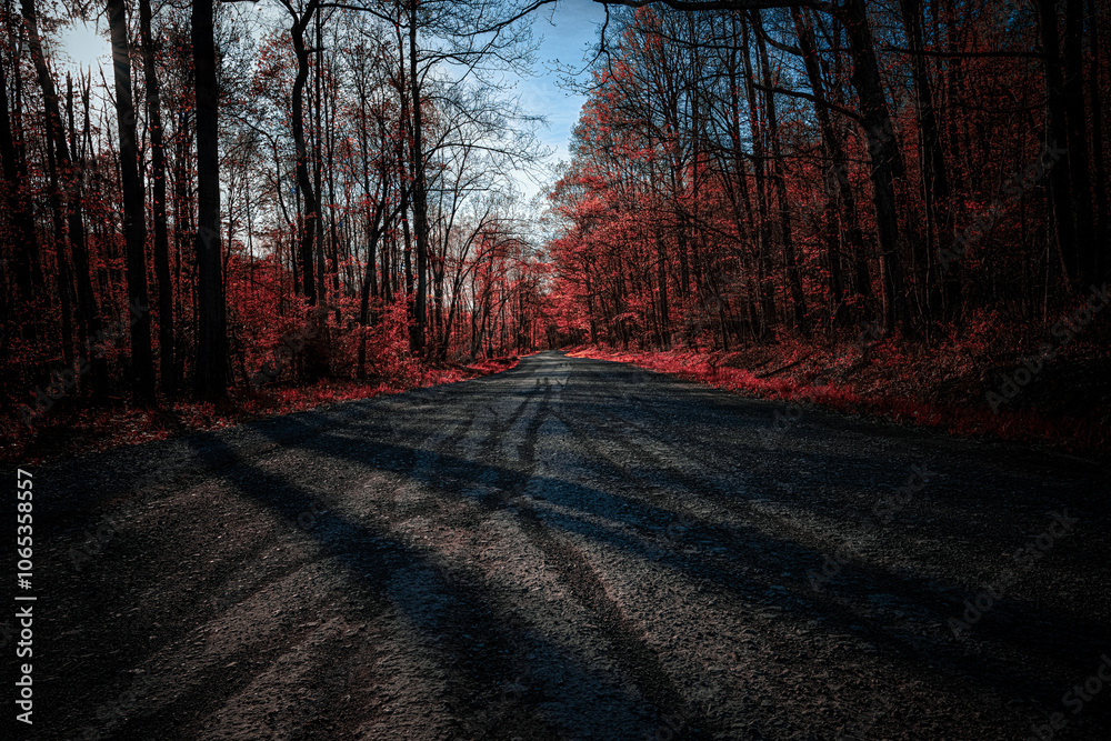 The Red Forest