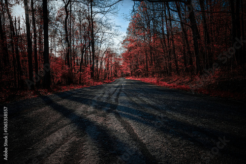 Obraz na płótnie The Red Forest w salonie