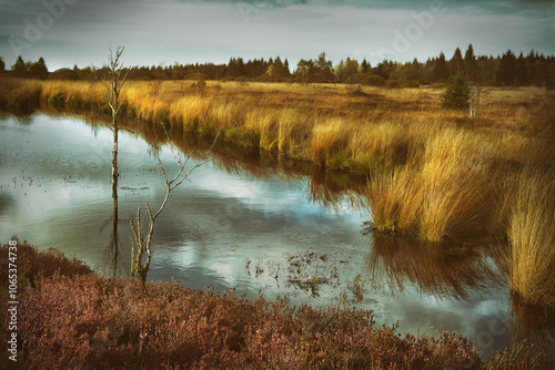 Moorlandschaft photo