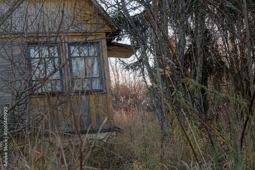 A leaning wooden porch of a house in a Russian village during autumn, surrounded by overgrown bushes and grass.
