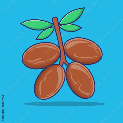 Date, dried date, date fruit, date palm, Middle Eastern, fruit, vector, illustration, healthy food.