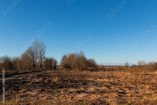 Landscape with a view of a meadow with withered last year's grass and a mixed forest in the background on a sunny day photo