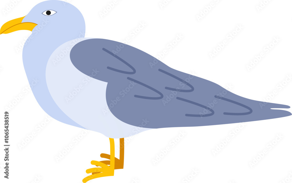 Obraz premium Posing Blue Footed Booby