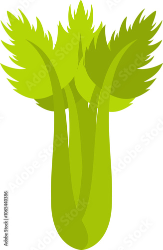 Vegetable Celery