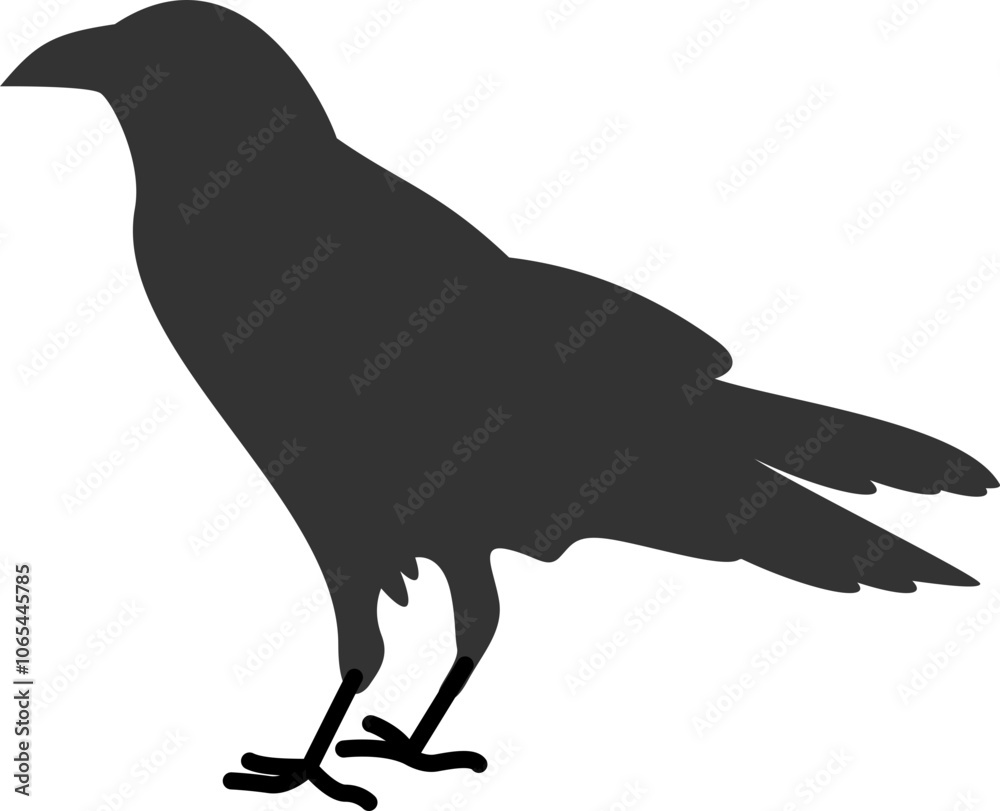 Fototapeta premium Crow Bird Illustration