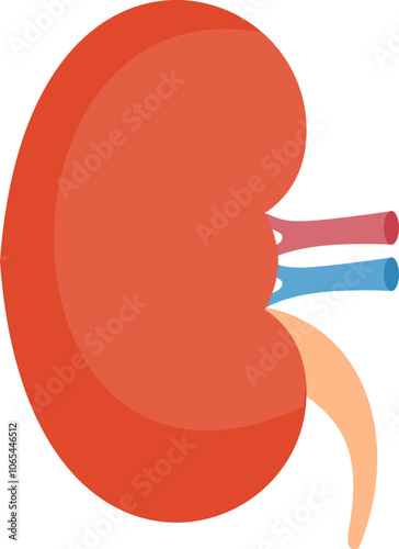 Stomach Illustration