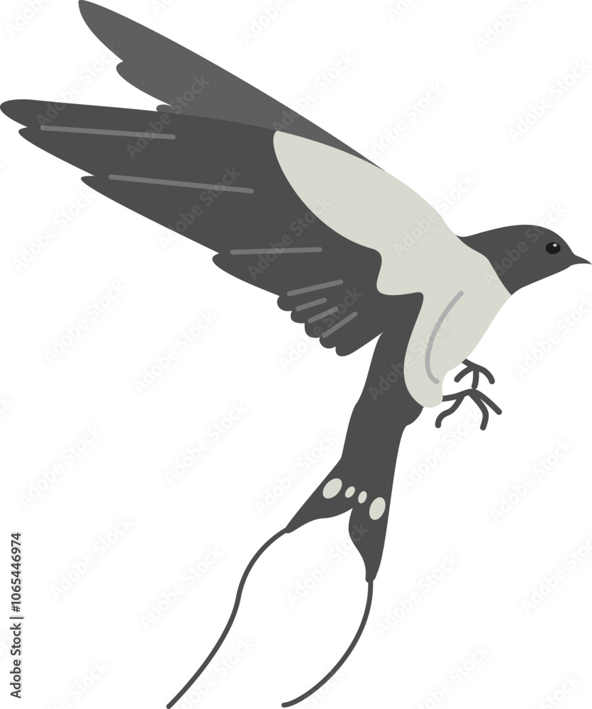 Obraz premium Cute swallow bird flying