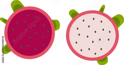 Pitaya Fruits Illustration