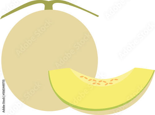 Sweet Green Melon with Slice Illustration