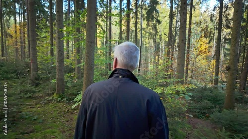 Middle aged man Walking Through a Forest Path