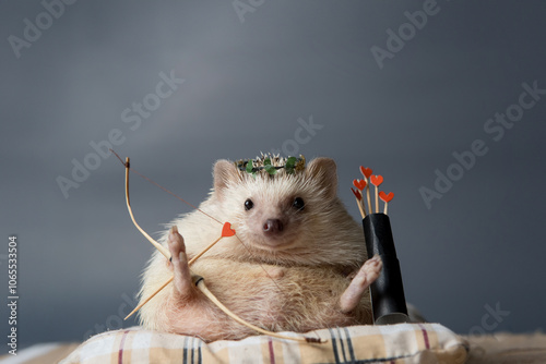 A little hedgehog on Valentine's Day