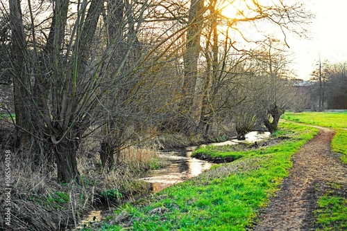 Bachlauf im Frühling